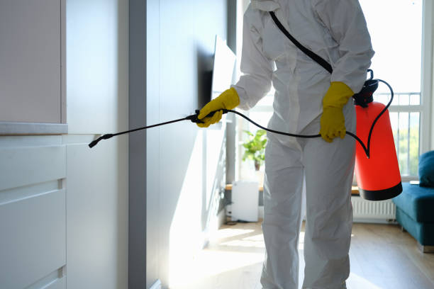 Industry, PA Mold Removal Company